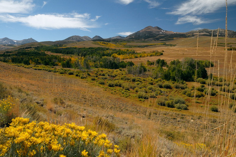 Gorgeous Sierra Nevada mountain range