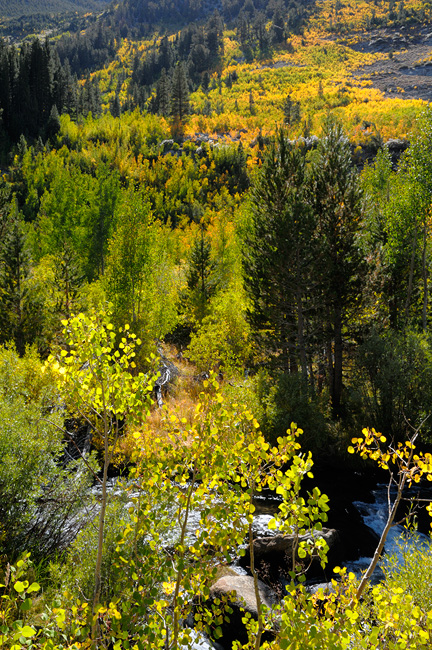 cold mountain stream