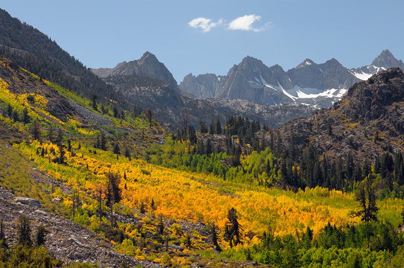 California fall foliage in Bishop Canyon