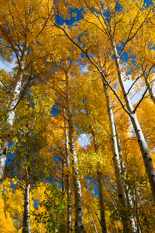 A perfect day in the Eastern Sierra