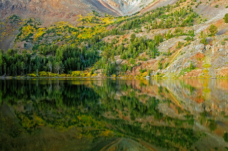 Sierra fall colors reflecting upon Virginia Lake