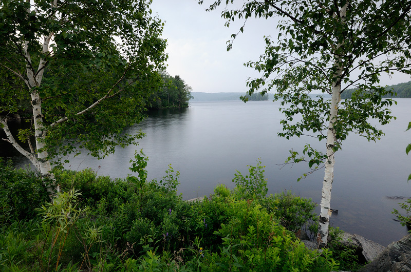 One of the small bays located at the south end of Tupper Lake