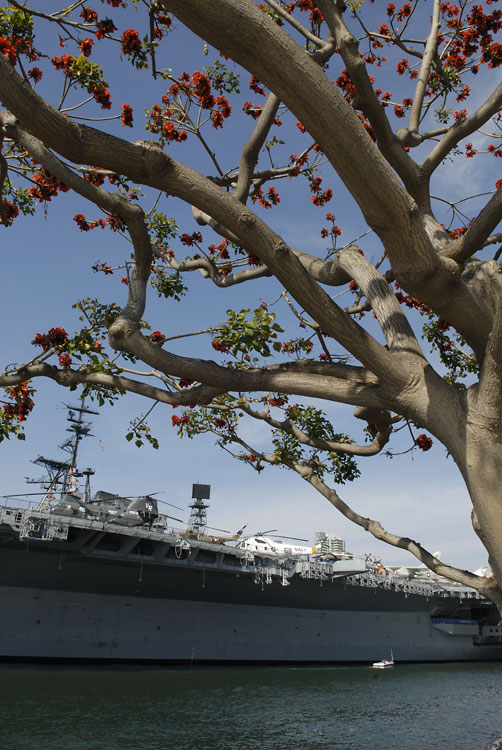 Aircraft carrier in San Diego harbor