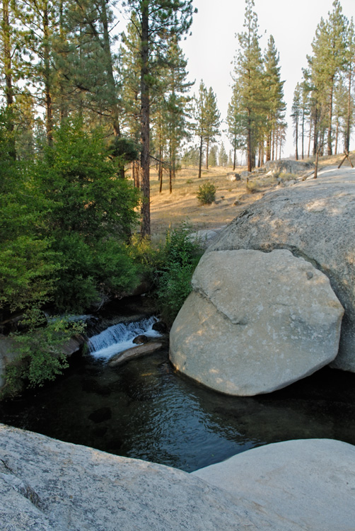 pine trees, granite and water are a beautiful combination