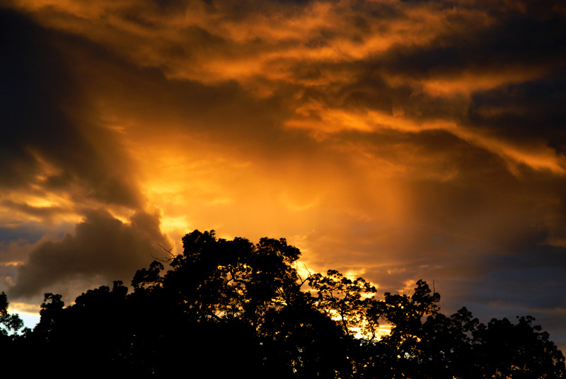 Spectacular sunset in Burbank California, looking out my bedroom window