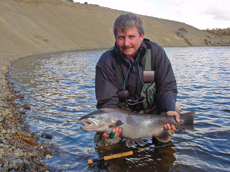 nice sea run brown trout, Rio Grande, Patagonia Chile