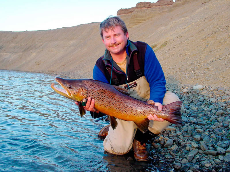 My favorite brown trout, caught and released in Chile